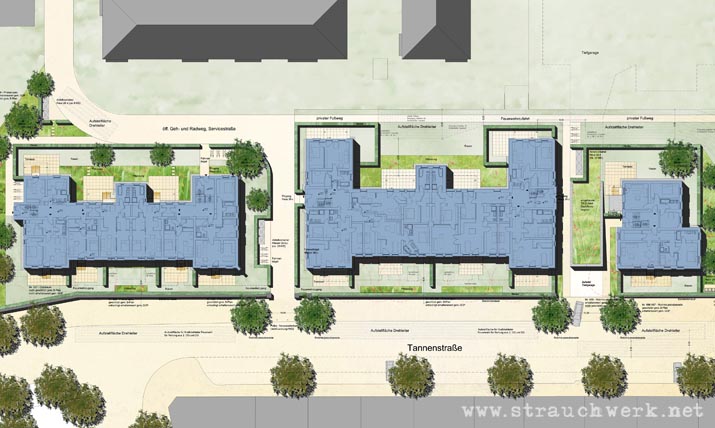 landschaftarchitekt-strauchwerk-duesseldorf-tannenhoefe-01