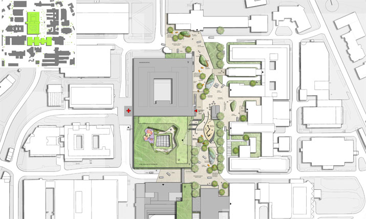 landschaftsarchitekt-strauchwerk-Wettbewerb-uniklinik-essen-01