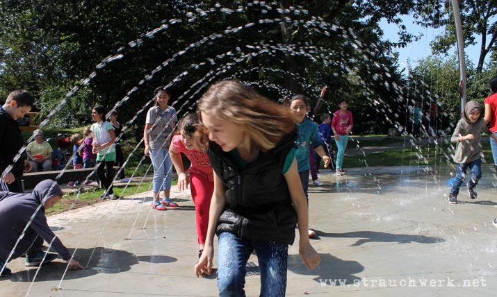 landschaftsarchitekt-strauchwerk-bergheim-auenland-kenten-01