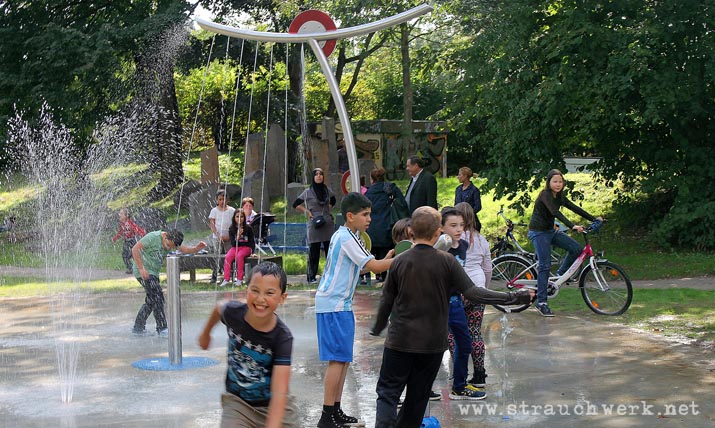 landschaftsarchitekt-strauchwerk-bergheim-auenland-kenten-02