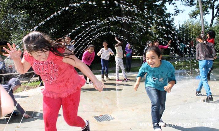 landschaftsarchitekt-strauchwerk-bergheim-auenland-kenten-03