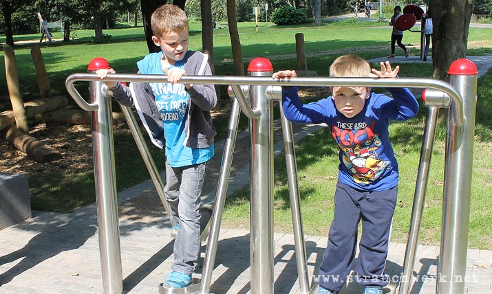 landschaftsarchitekt-strauchwerk-bergheim-auenland-kenten-06