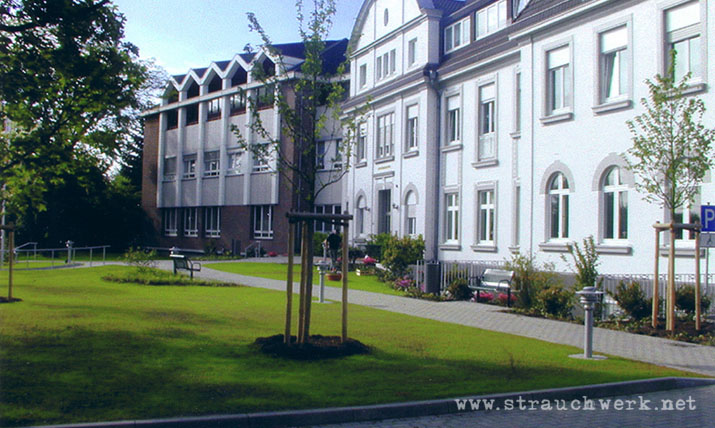 landschaftsarchitekt-strauchwerk-dormagen-altenwohnheim-augustinushaus-02