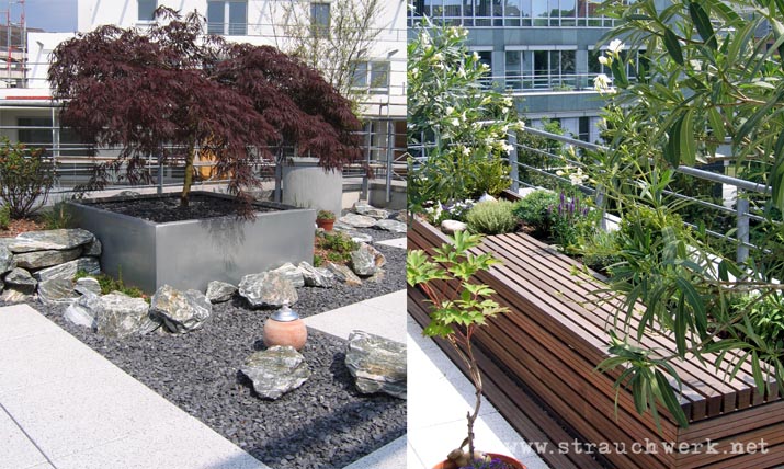landschaftsarchitekt-strauchwerk-duesseldorf-dachterrasse-ambossstrasse-01