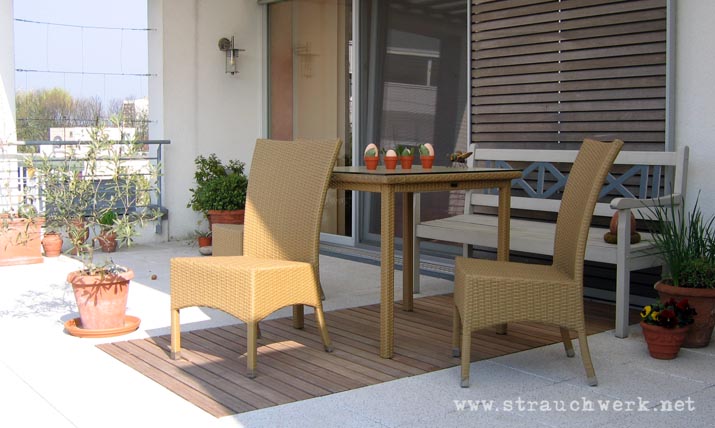 landschaftsarchitekt-strauchwerk-duesseldorf-dachterrasse-ambossstrasse-02