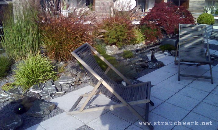 landschaftsarchitekt-strauchwerk-duesseldorf-dachterrasse-ambossstrasse-04