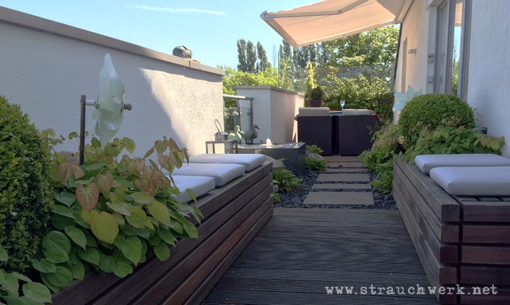 landschaftsarchitekt-strauchwerk-duesseldorf-dachterrasse-kaiserswerth-01