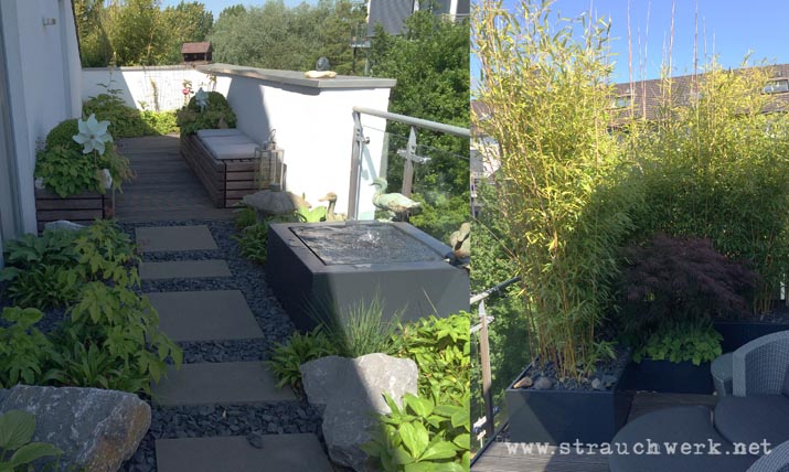 landschaftsarchitekt-strauchwerk-duesseldorf-dachterrasse-kaiserswerth-04