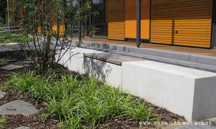 landschaftsarchitekt-strauchwerk-duesseldorf-kita-daimler-08