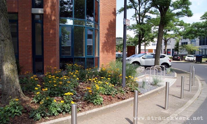 landschaftsarchitekt-strauchwerk-hilden-itterpark-04