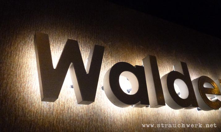 landschaftsarchitekt-strauchwerk-hilden-itterpark-05