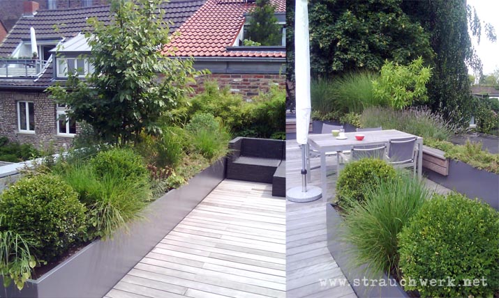 landschaftsarchitekt-strauchwerk-kaiserswerth-dachterrasse-02