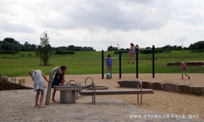 landschaftsarchitekt-strauchwerk-monheim-landschaftspark-rheinbogen-05