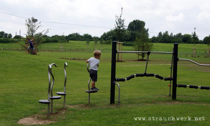landschaftsarchitekt-strauchwerk-monheim-landschaftspark-rheinbogen-06