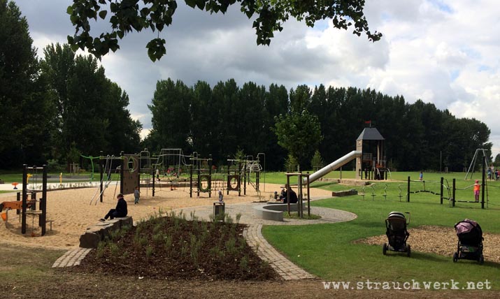 landschaftsarchitekt-strauchwerk-monheim-landschaftspark-rheinbogen-11