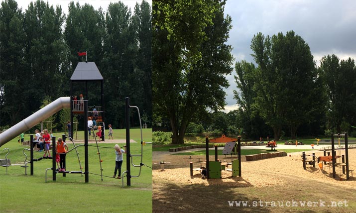 landschaftsarchitekt-strauchwerk-monheim-landschaftspark-rheinbogen-12