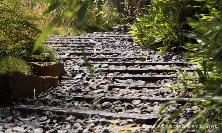 landschaftsarchitekt-strauchwerk-neuss-garten-edelstahlpool-03