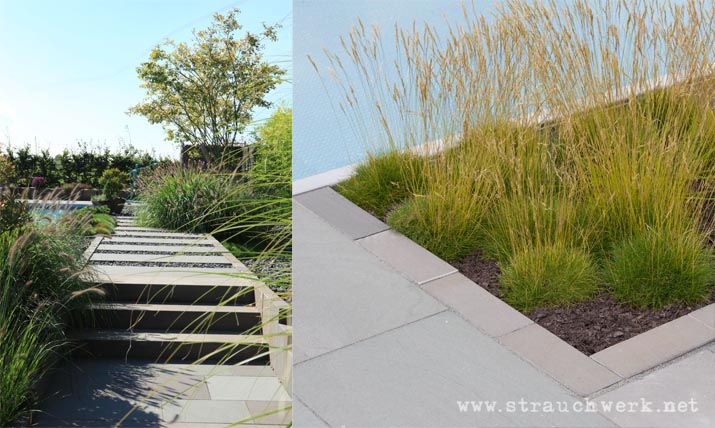 landschaftsarchitekt-strauchwerk-neuss-garten-edelstahlpool-08