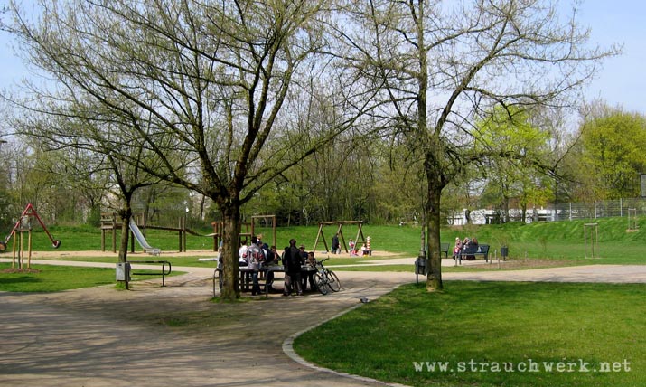landschaftsarchitekt-strauchwerk-neuss-gruenzug-weckhoven-02