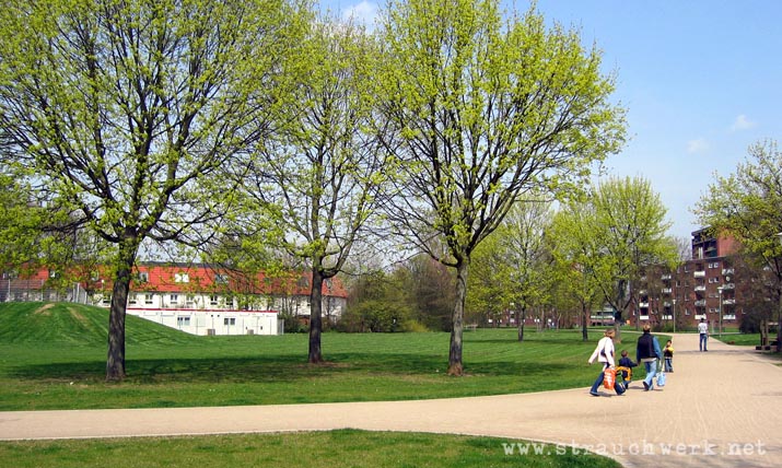 landschaftsarchitekt-strauchwerk-neuss-gruenzug-weckhoven-03