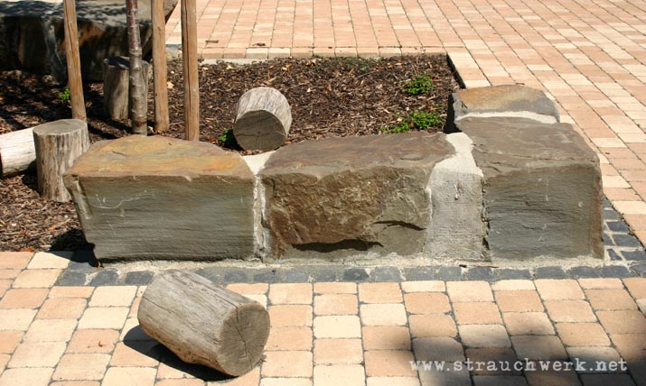 landschaftsarchitekt-strauchwerk-neuss-leoschule-09