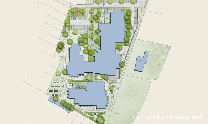 landschaftsarchitekt-strauchwerk-oberhausen-seniorenzentrum-clemens-01