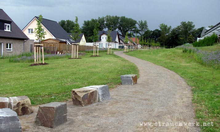landschaftsarchitekt-strauchwerk-rommerskirchen-mariannenpark-01