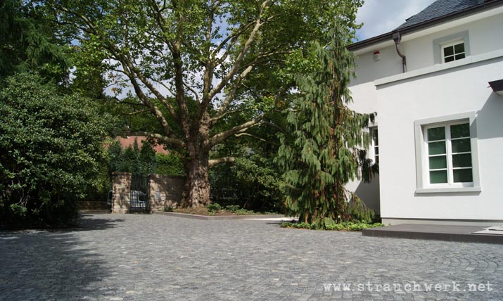 landschaftsarchitekt-strauchwerk-villengarten-02