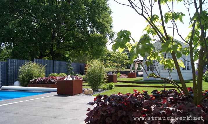 landschaftsarchitekt-strauchwerk-wesseling-garten-farbakzente-04