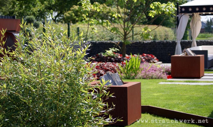 landschaftsarchitekt-strauchwerk-wesseling-garten-farbakzente-10