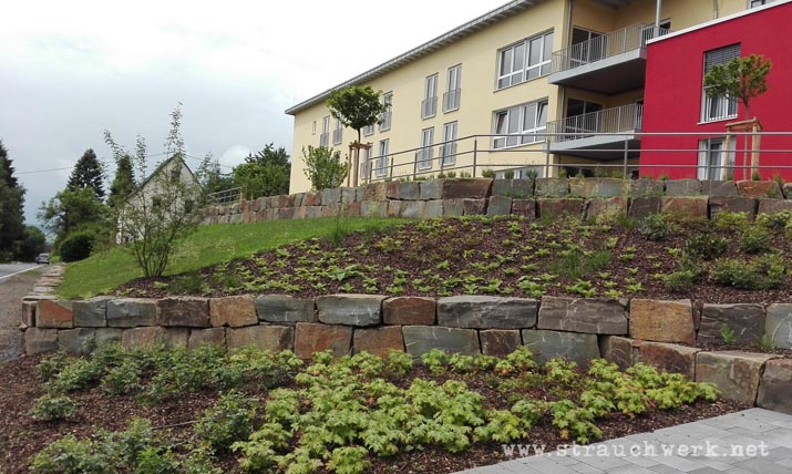 landschaftsarchitekt-strauchwerk- windeck-seniorenzentrum-hurst-02