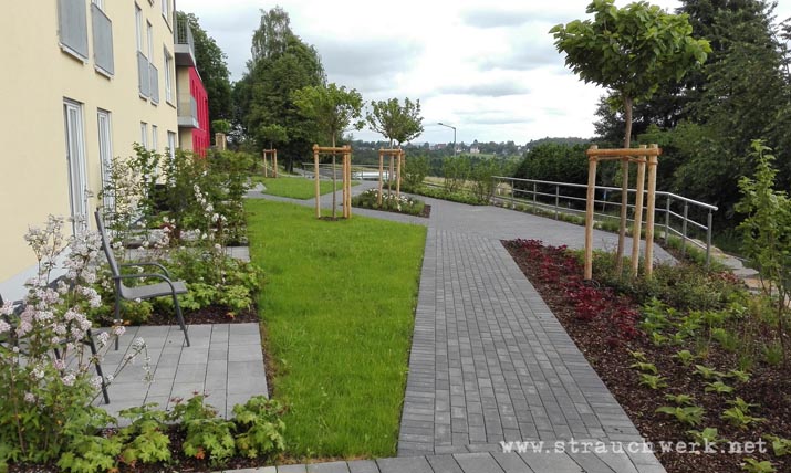 landschaftsarchitekt-strauchwerk- windeck-seniorenzentrum-hurst-03