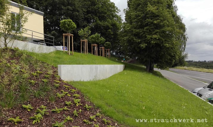 landschaftsarchitekt-strauchwerk- windeck-seniorenzentrum-hurst-05